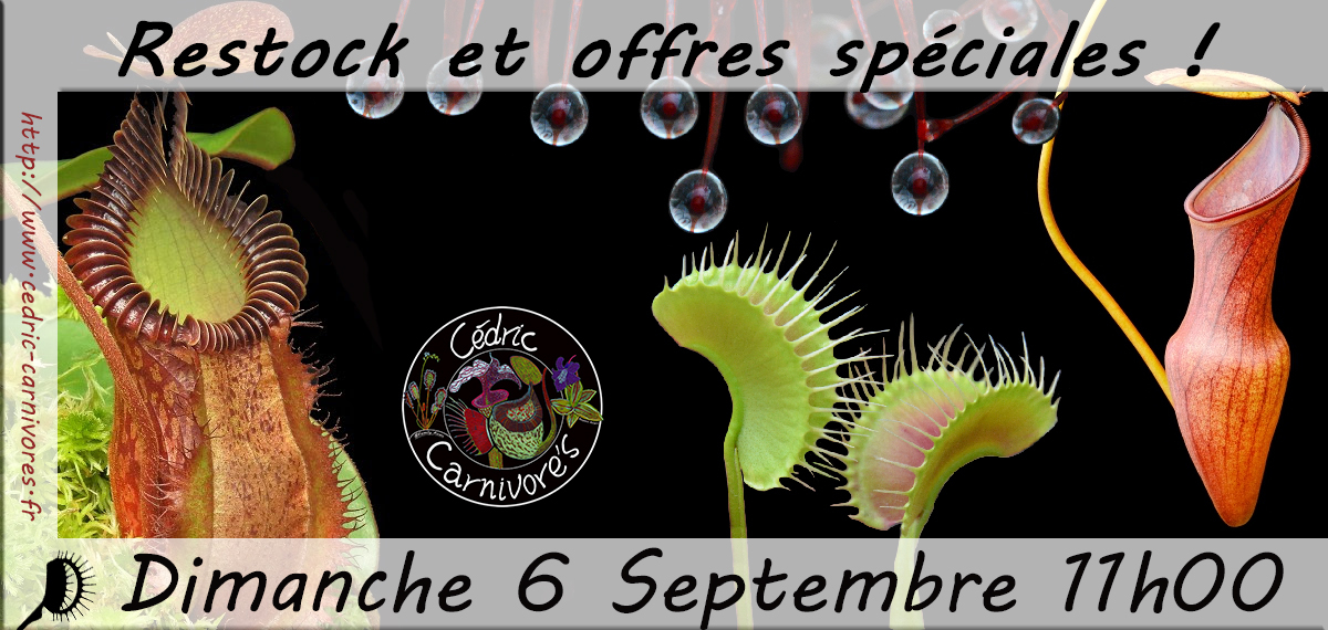 Rendez-vous dimanche 06 septembre à 11h00 pile !